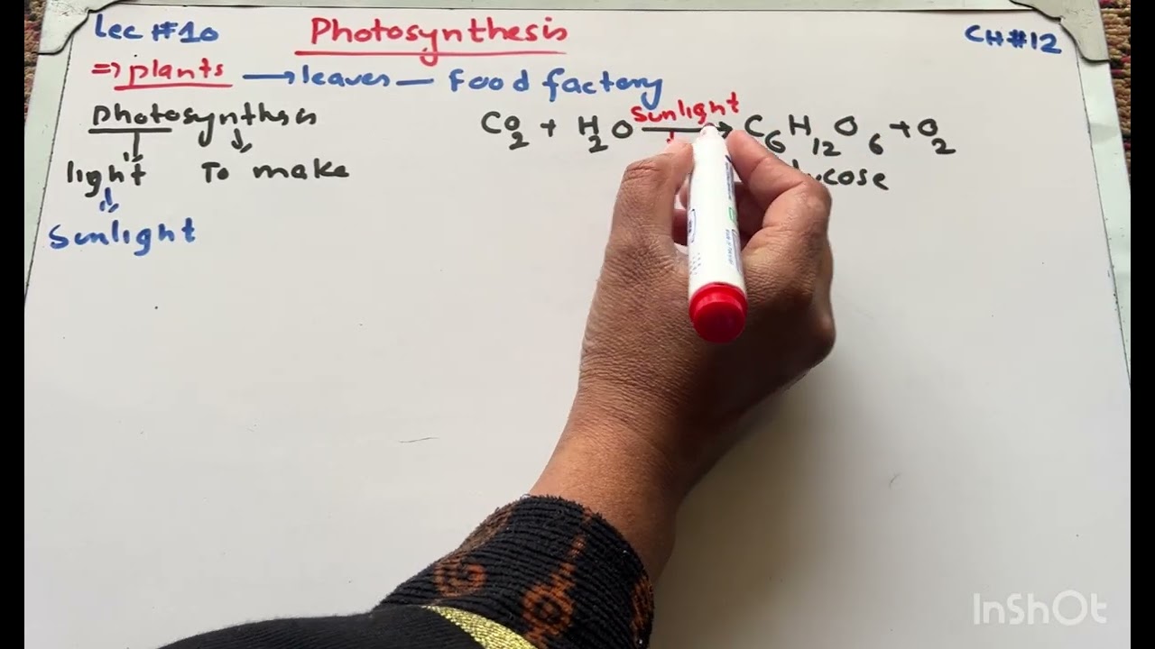 Photosynthesis/lec#10 #atmosphere  #chemistry #9thchemistry 