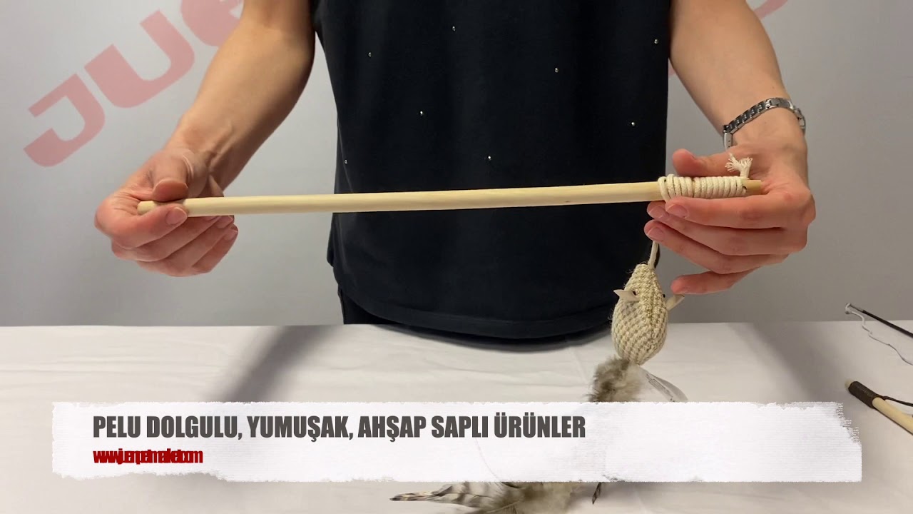 Kedi oltaları