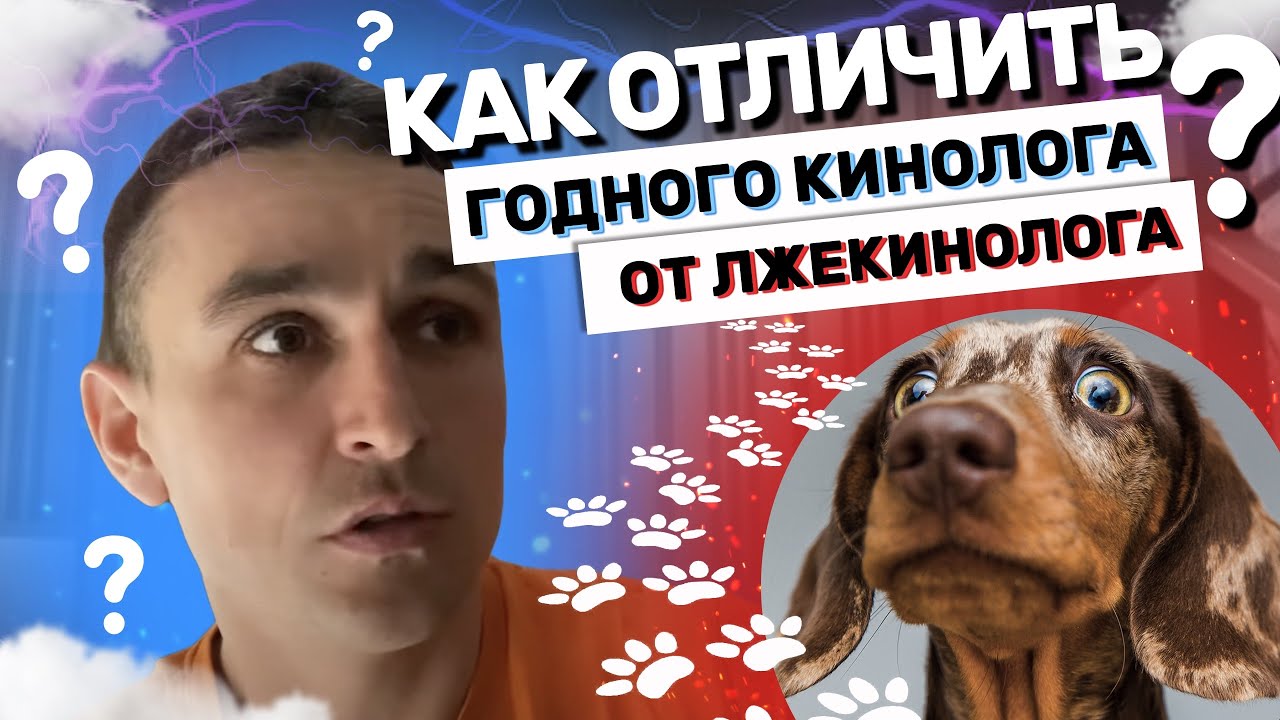 Как отличить годного кинолога от лжекинолога