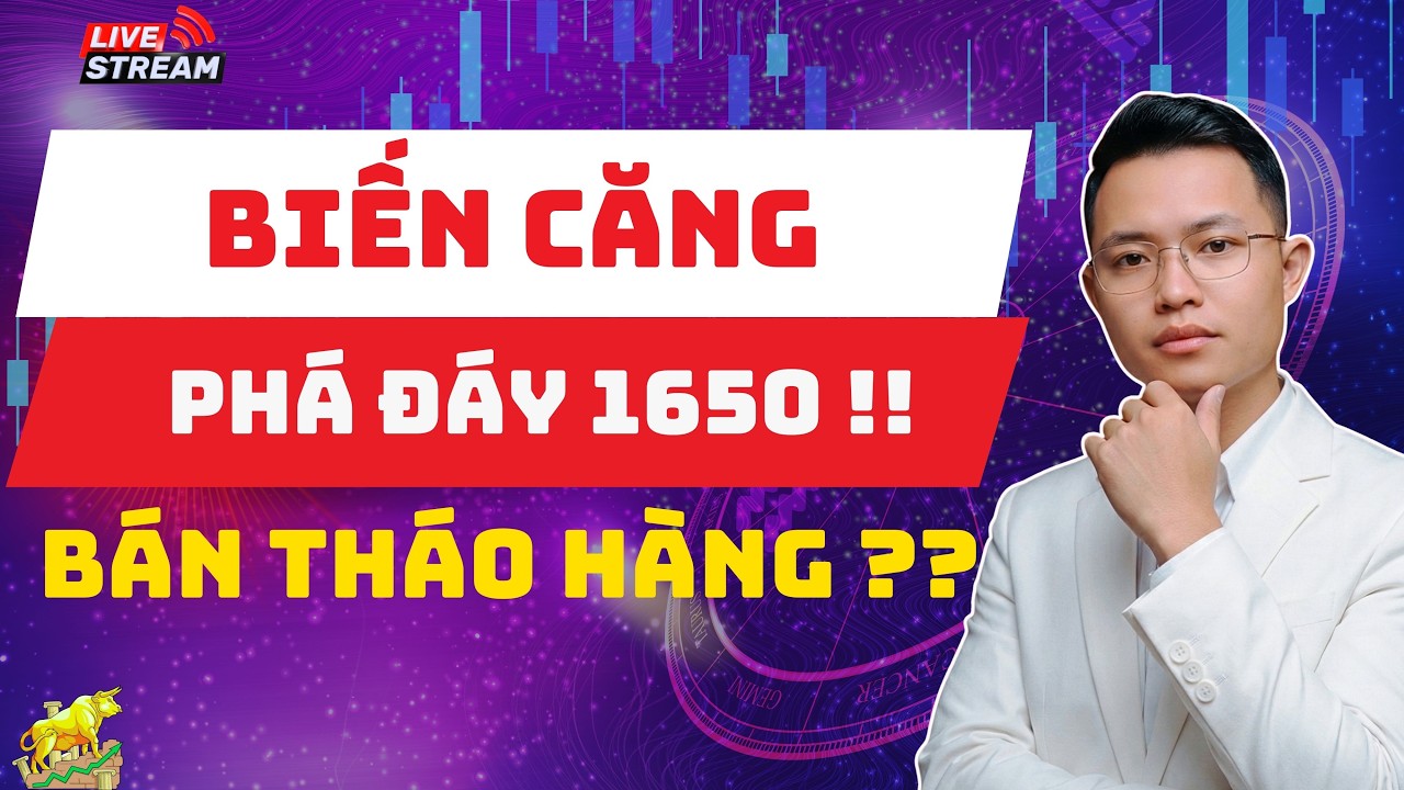 VNINDEX Phá Đáy 1650: Thị Trường Bán Tháo Hay Cơ Hội Bắt Đáy?
