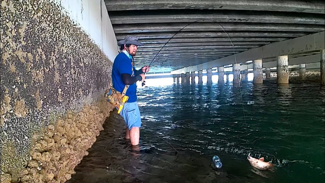 kiernic's adventure ep. #25 fishing under the bridge in abudhabi