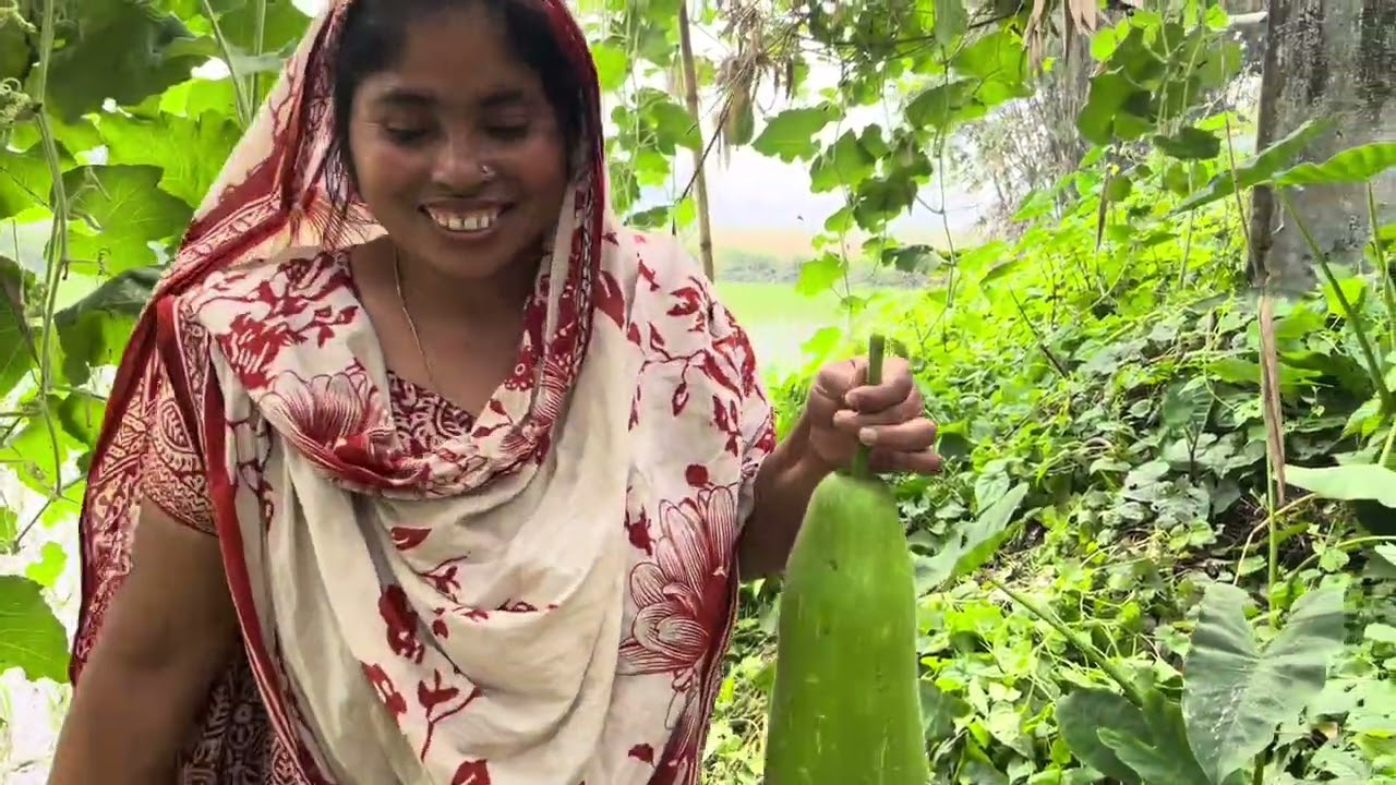 আজকে দাদির এমন কি হলো যে দাদা দাদিকে হাসপাতালে নিয়ে গেলো/ আর আমাদের বাড়িতে লাউ নিতে কে আসলো