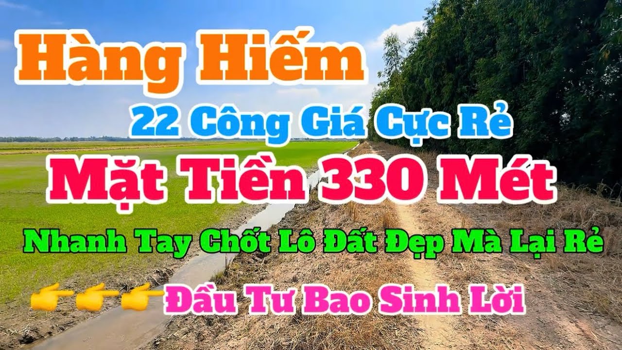 (Số 881) 22Công💥Đầu Tư Bao Sinh Lời Cao👉Giá Siêu Rẻ☘️Chốt Nhanh Còn Kiệp Cô Chú Ơi 