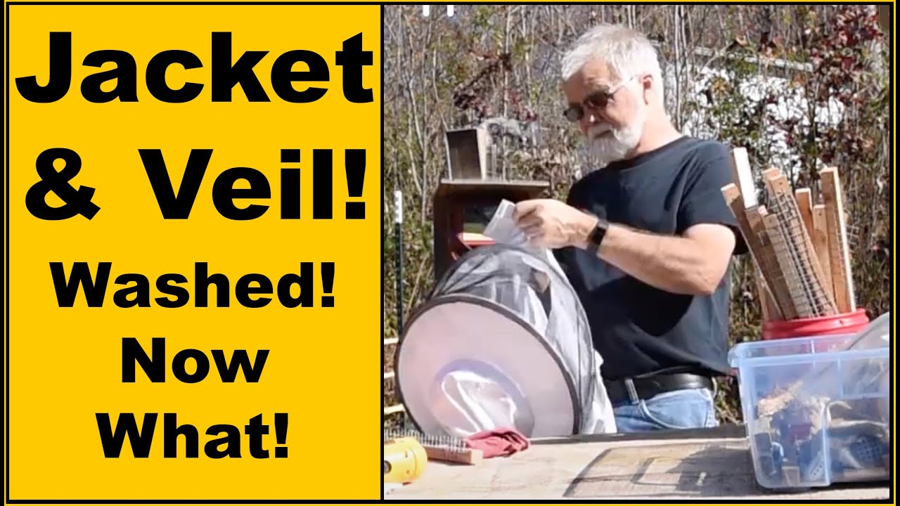 New Beekeeper Doing Things Backwards