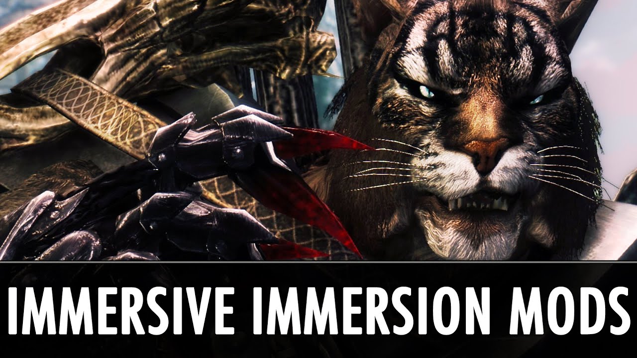 Skyrim Mods: Immensely Immersing Immersive Immersion Mods