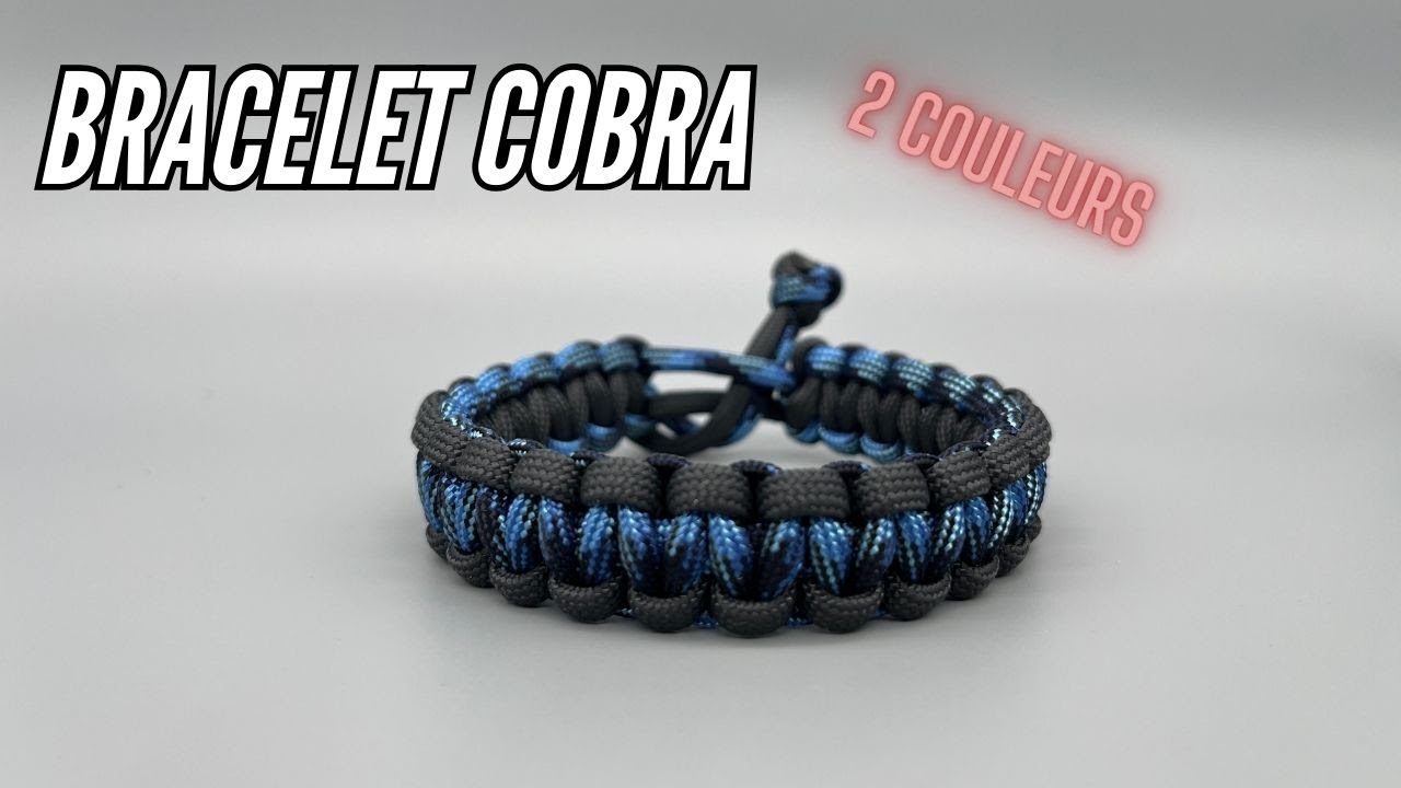 cobra bicolore