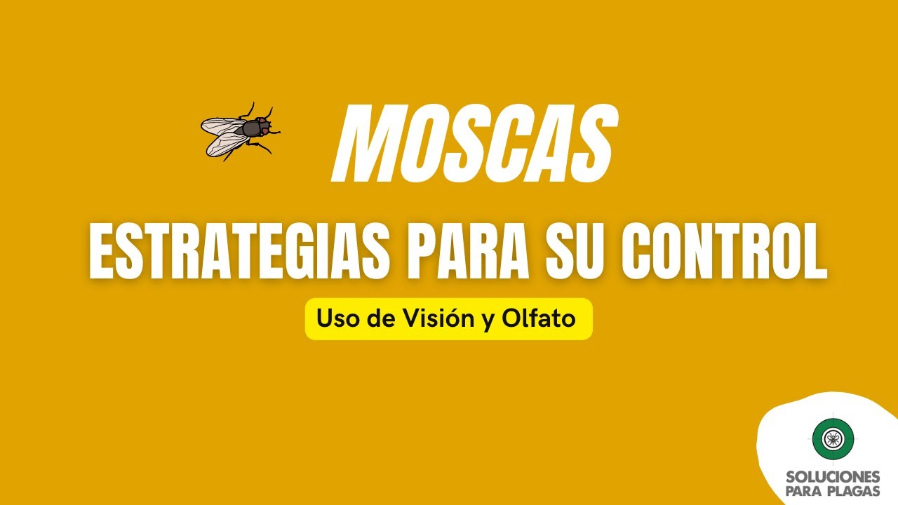 Uso de Visión y Olfato de Mosca Domestica en Estrategias para su Control Laboratiorio Preserve