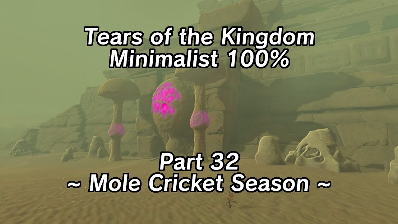 Tears of the Kingdom Minimalist 100% Part 32 - Mole Cricket Season