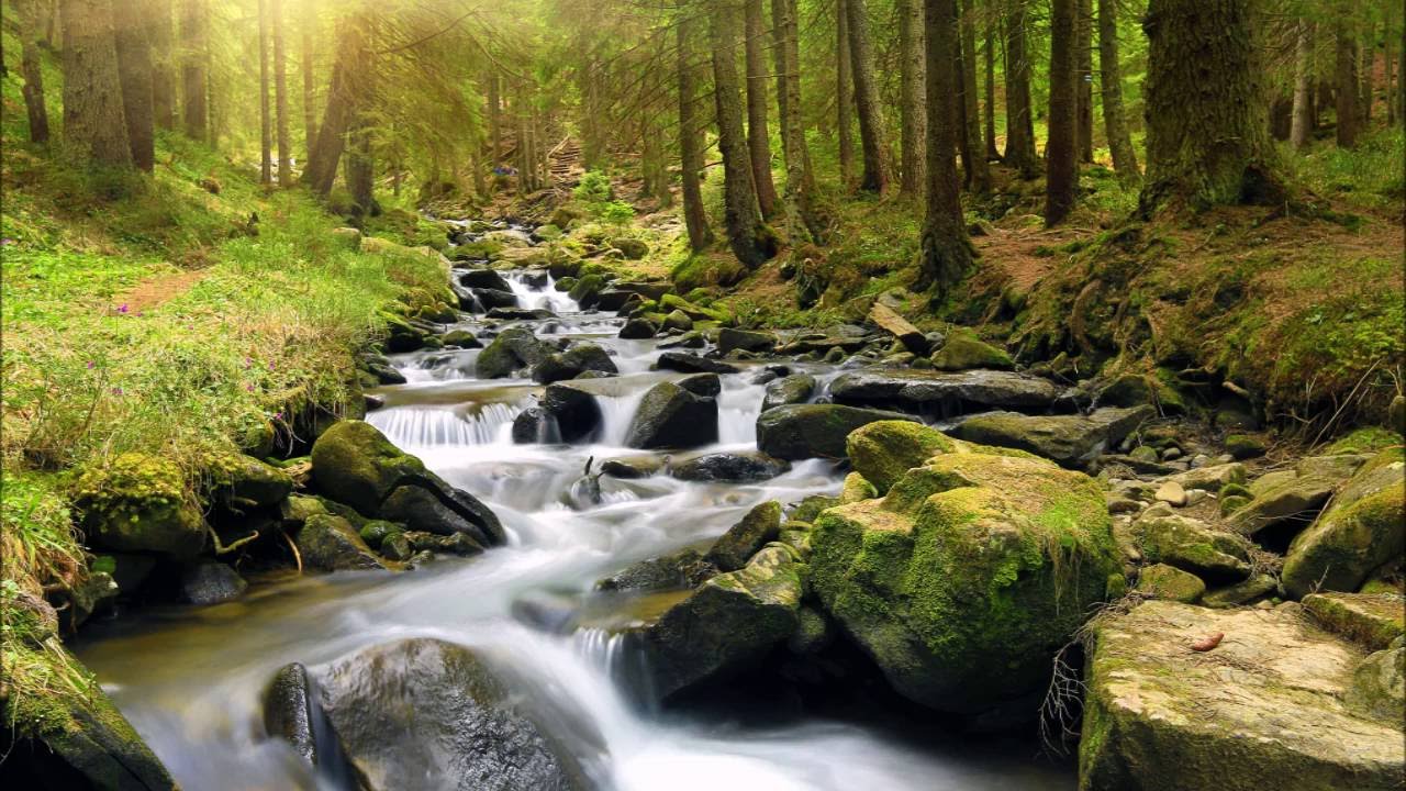 2 Hours Nonstop Relaxing & Healing Music - with emotional and inspiring Images in Background