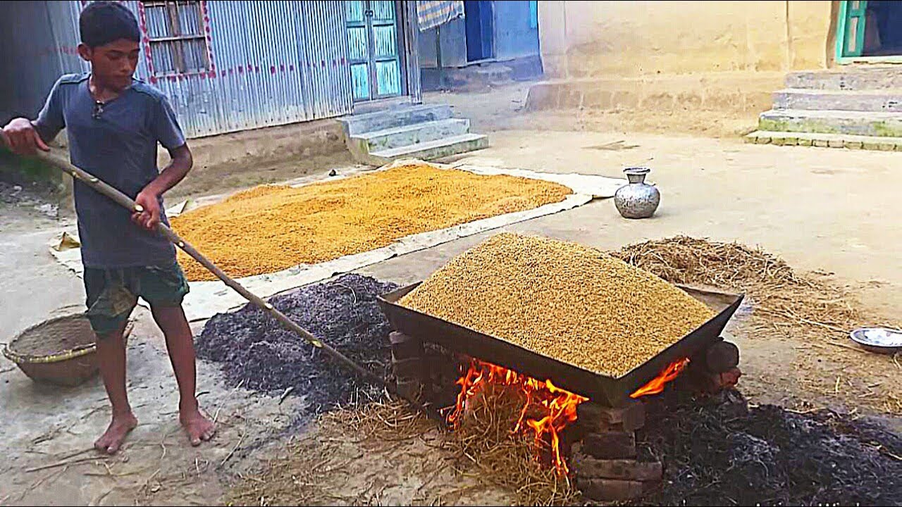 Rice Parboiling Process | Brown Rice Processing With Survival Skills