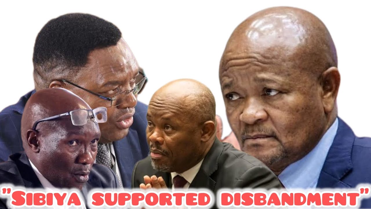 WATCH | General Masemola says Mchunu claimed “there are no political killings”