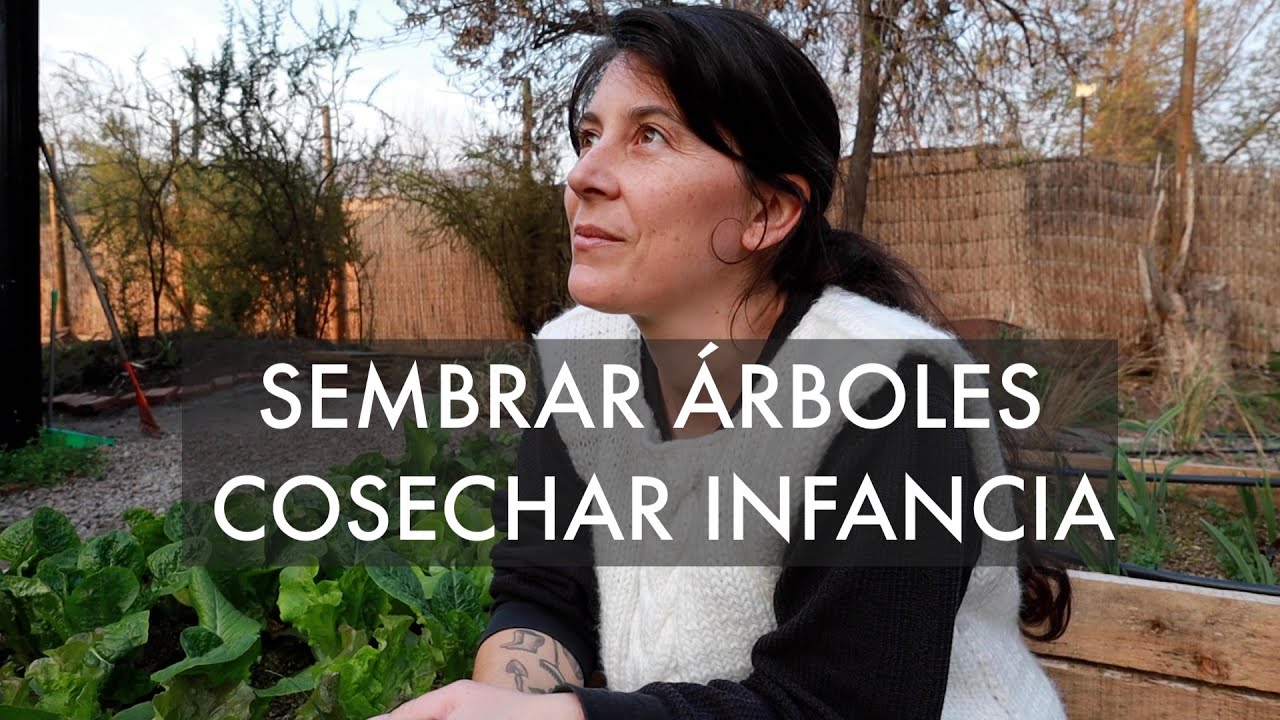 Sembrar Encinos | Cosechar Infancia . Un proyecto distinto para tu Casa
