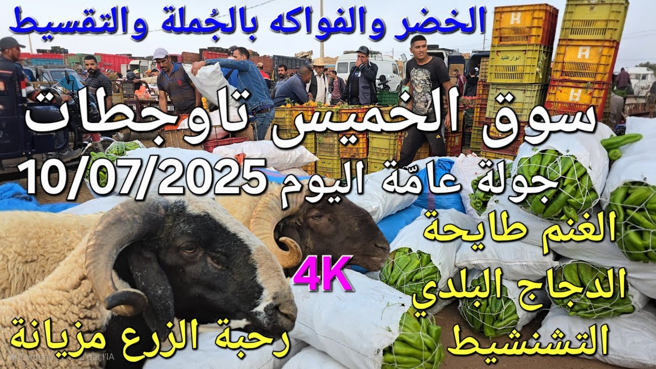 أثمنة الغنم والدجاج واللحوم والخضر سوق الخميس عين تاوجطات اليوم 10/07/2025