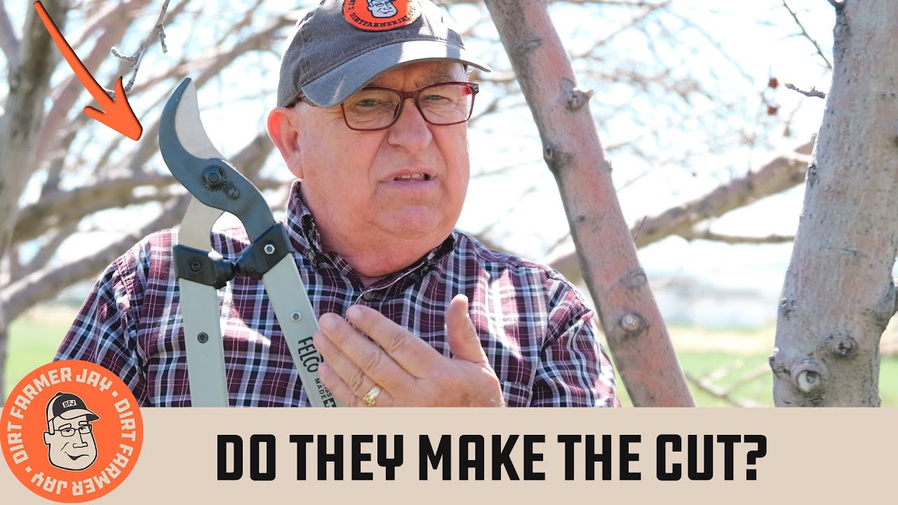 Felco Loppers Review: Are the 201 & 221 Series Worth the Price?
