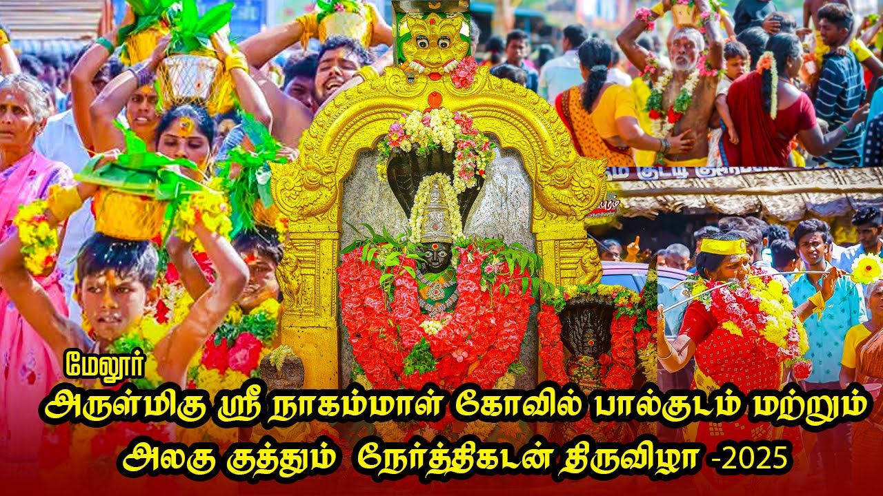 மேலூர் அருள்மிகு ஸ்ரீ நாகம்மாள் திருக்கோவில் உற்சவ திருவிழா-2025