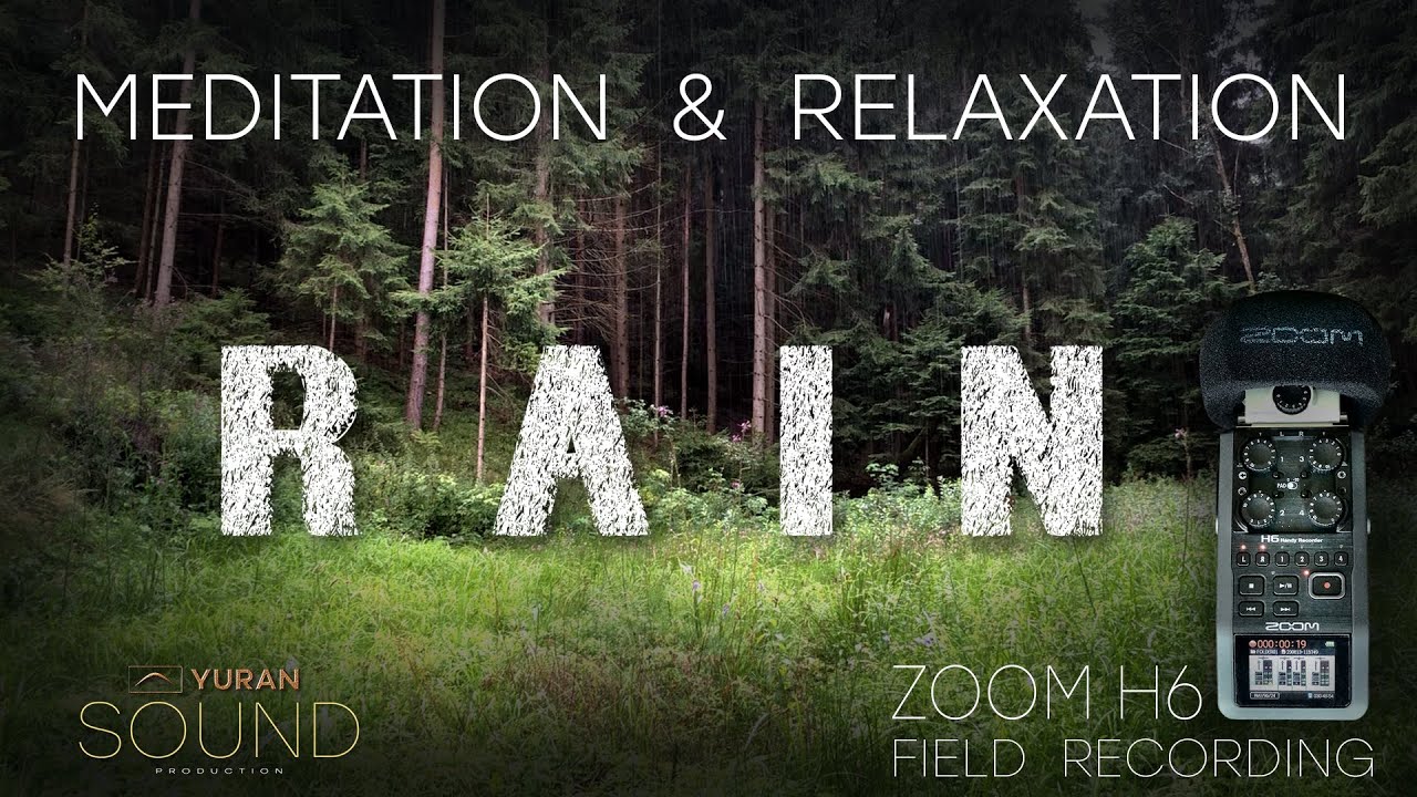 Rain Forest Ambience Sounds for Sleep, Relaxation and Meditation