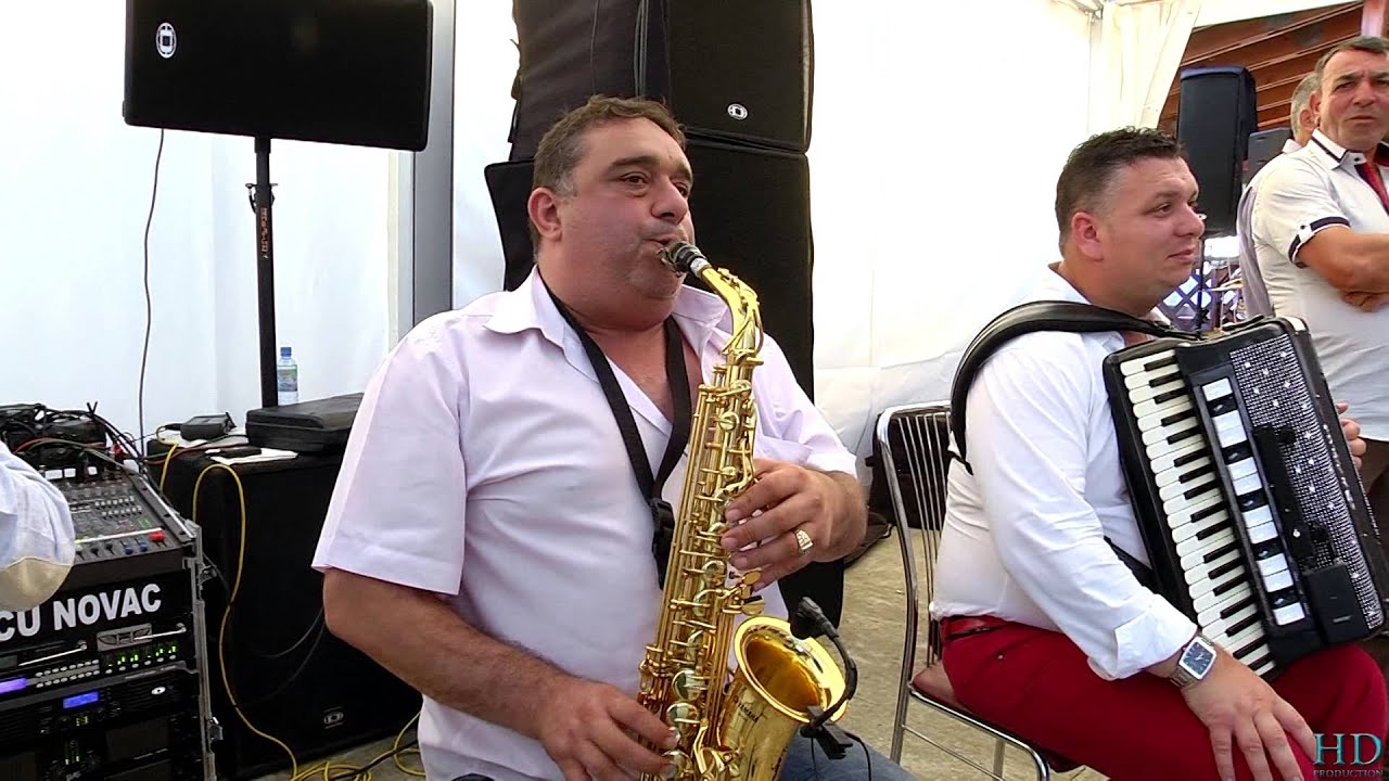 Pitigoi,Duduma,Ienea,Cornel, Irimia si Rica - Ardeleana live - Nunta Andreea si Sandu Full HD 2015