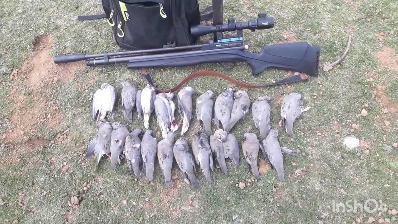 ca&ccedil;ada de avoante na bebida com a beeman 1336 s&oacute; lapada