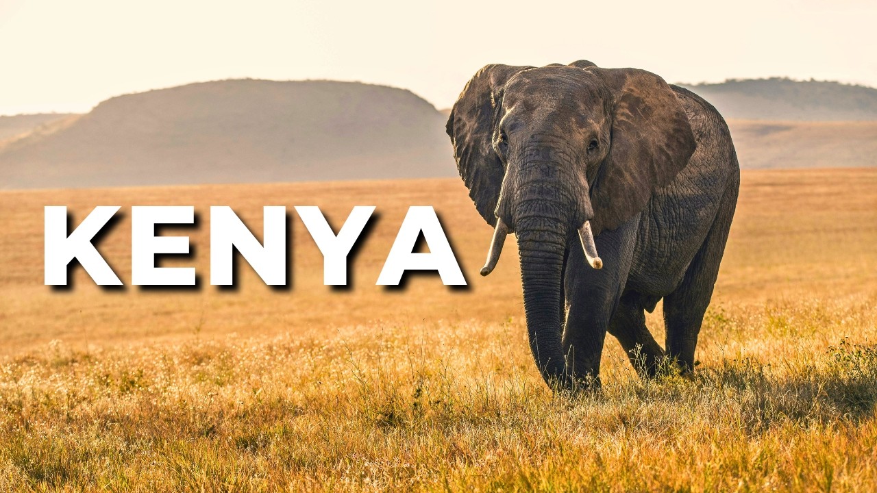 KENYA: A Story Most People Never Hear