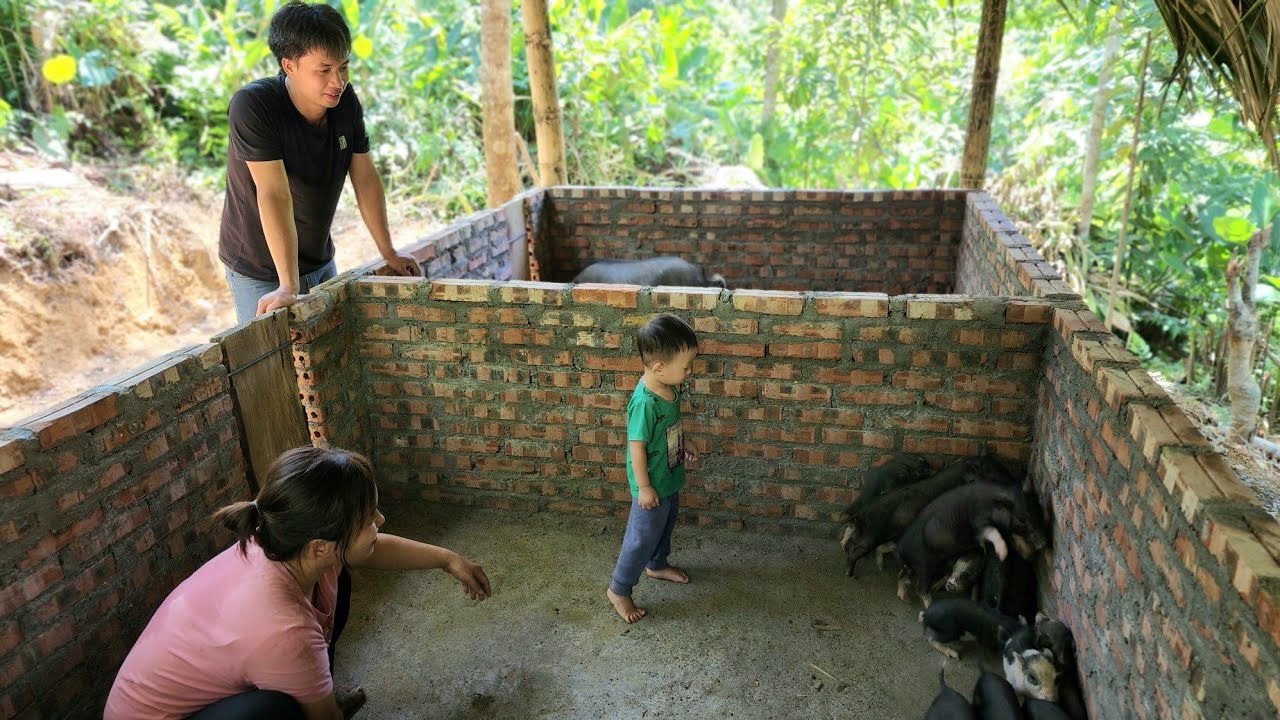 Techniques of Making Pig Cages with Concrete Floor | from start to finish - Chúc Tòn Bình