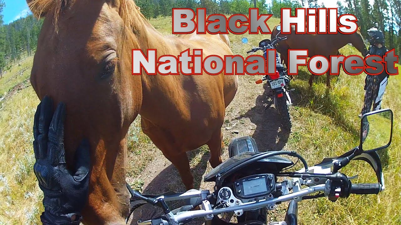 Black Hills National Forest - CDS Is Back On Dirt!