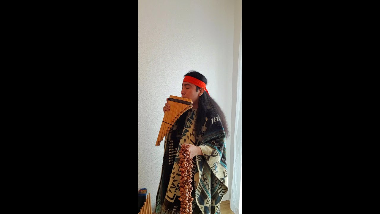 Transformation - Brother bear/Phils Collins - Panflute/Zampoña