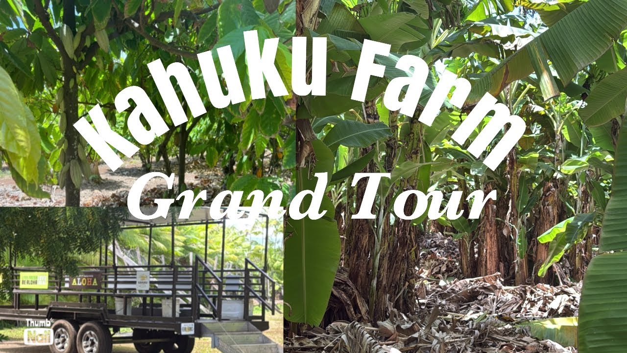 Kahuku Farm Grand Tour- Part 2 @Kahuku Farms Hawaii (Hawaii)