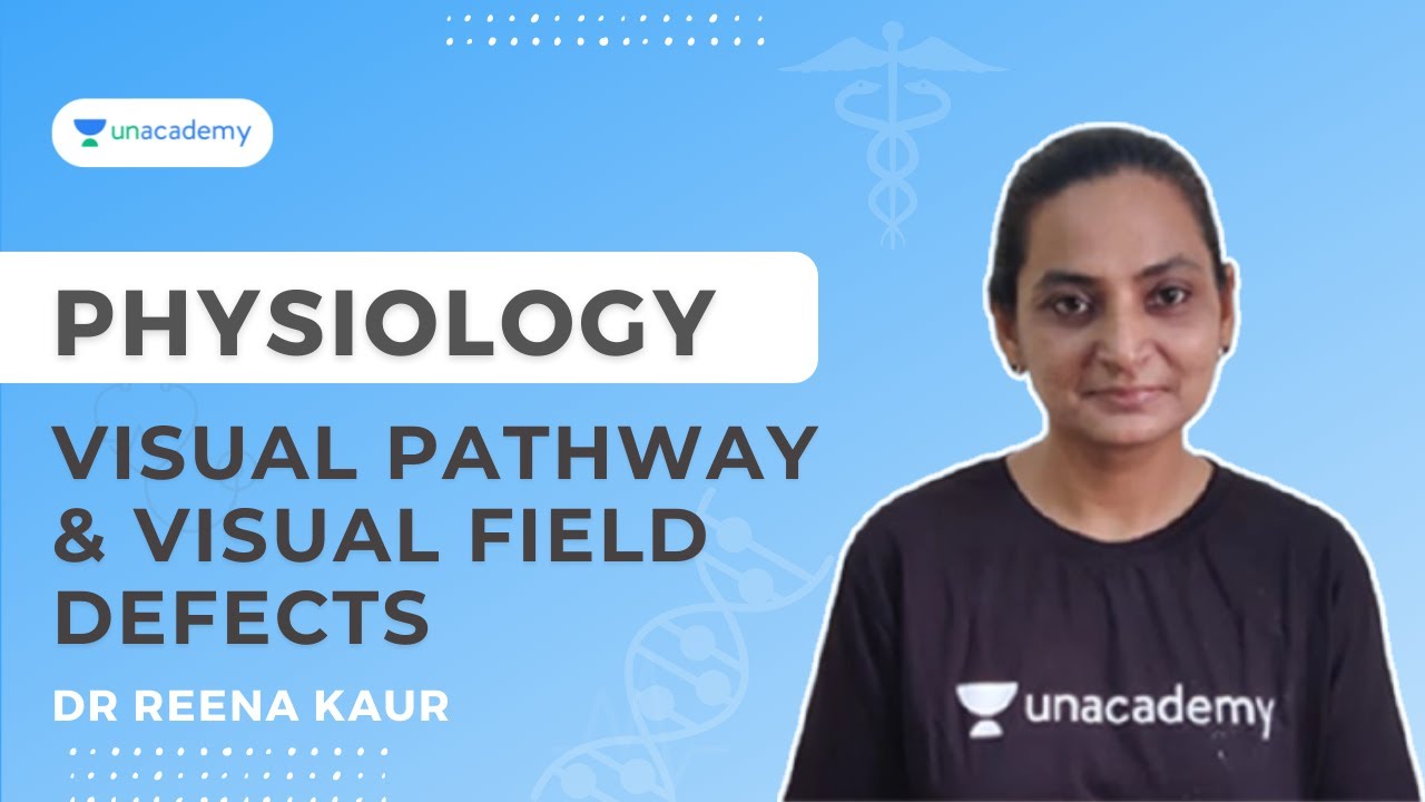 Visual Pathway & Visual Field Defects | Physiology | Dr Reena Kaur
