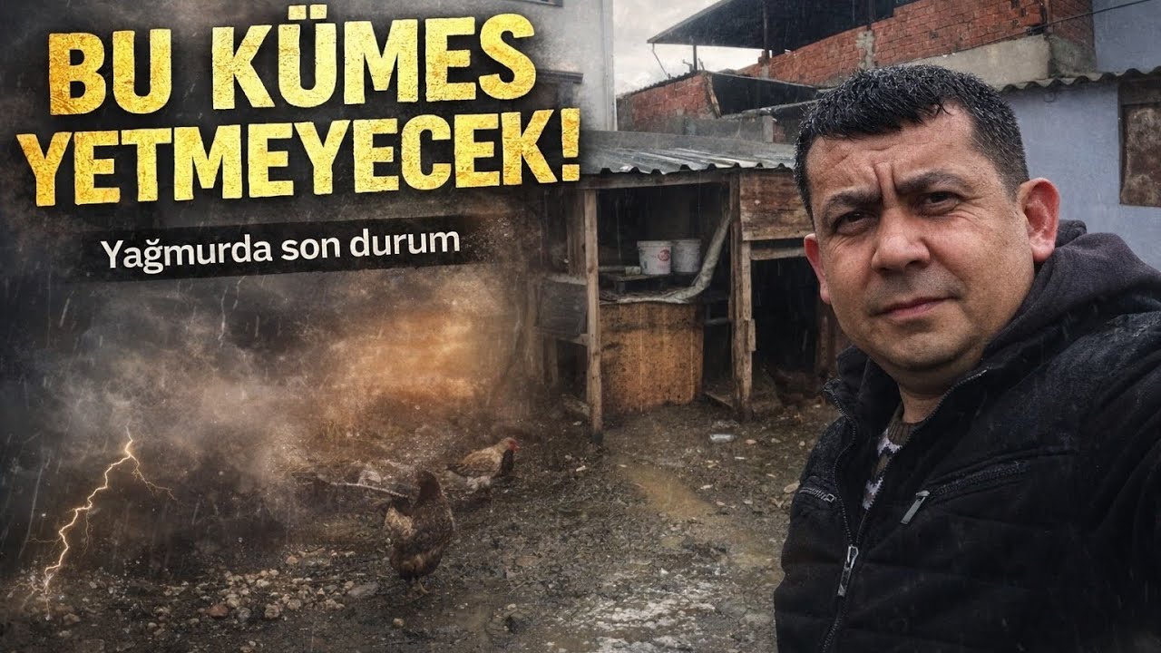 Yağmurda Kümesin Gerçek Hali! Artık Bu Alan Bize Yetmiyor…