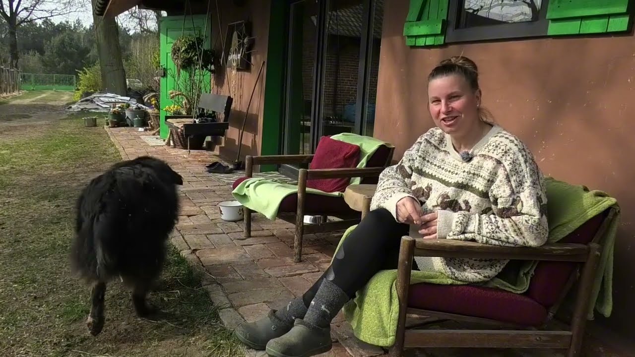Cała prawda o zwierzętach na wsi/Zdemolowali mi dom/Kot z siana. 