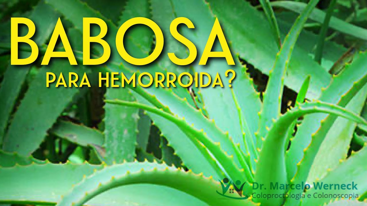 Babosa &eacute; bom para hemorroida? | Dr. Marcelo Werneck