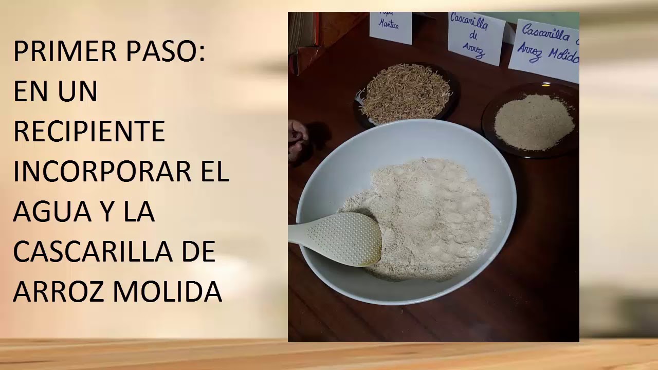 Platos biodegradables hecho con cascarilla del arroz
