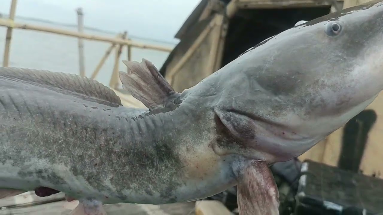 Nekat mancing sendiri di bagan seketer 1 milik Kep Jajang di saat ombak besar 