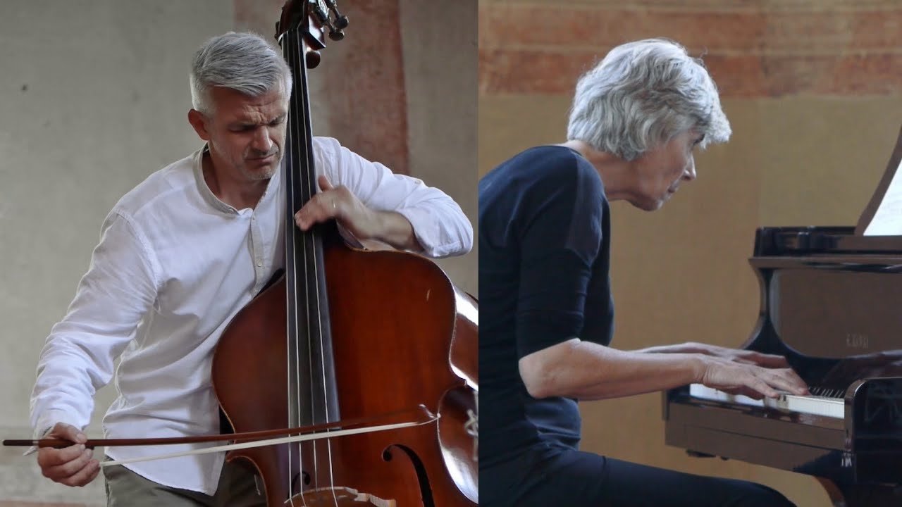 BRAHMS • Sonata in E♭ major Op.120 No.2 (1. movement) performed by Božo Paradžik & Maria Sofianska