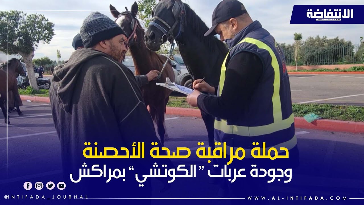 حملة مراقبة وترقيم الأحصنة لعربات 