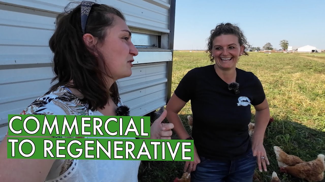 They Stopped Commercial Farming and Started A Regenerative Pasture Pig Farm (Hine Farms)
