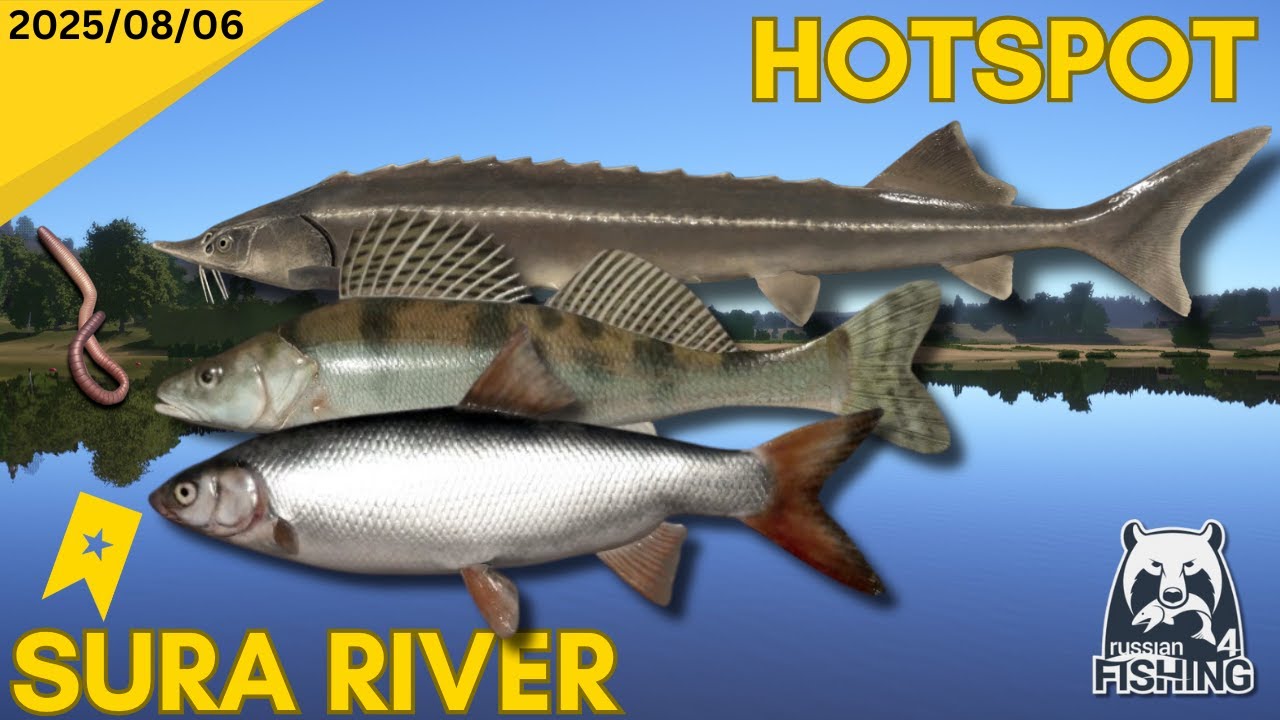 Sura Sterlet and Volga Zander Hotspot - Russian Fishing 4