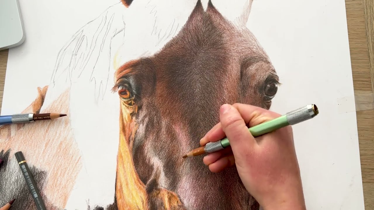 Dessin réaliste d'un cheval avec les crayons de couleur polychromos