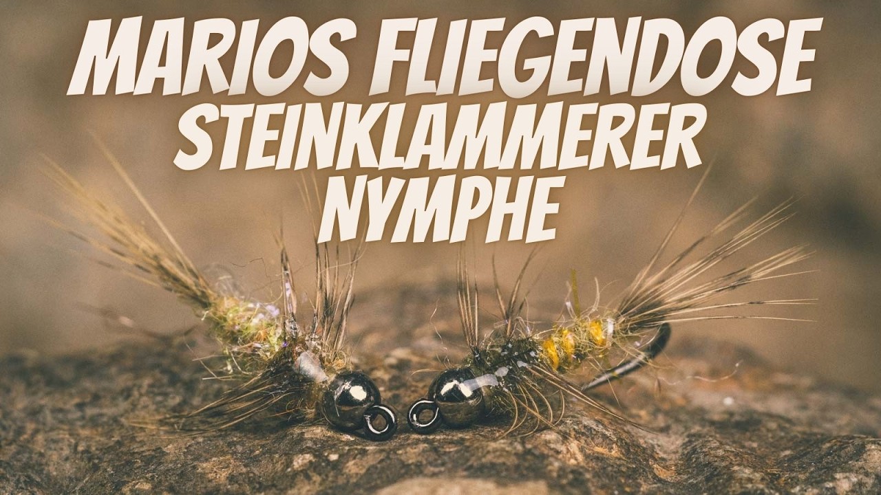 Marios Fliegendose - Steinklammerer Nymphe - Stoneclinger Nymph