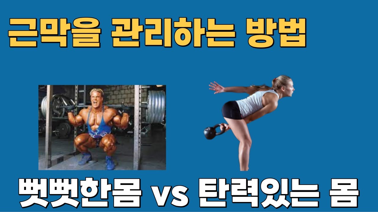 헬스, 웨이트만 하면 안되는 이유 / 근막을 관리하는 방법