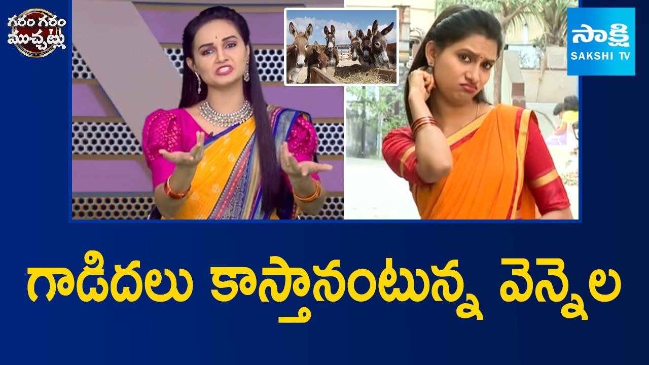 గాడిదలు కాస్తే 50 లక్షలు | Funny Skit on Donkey Farming in India | Sakshi Garam Garam Varthalu