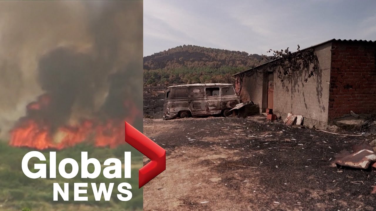 Spain wildfires: Evacuees from El Hoyo de Pinares village return to homes charred by ash