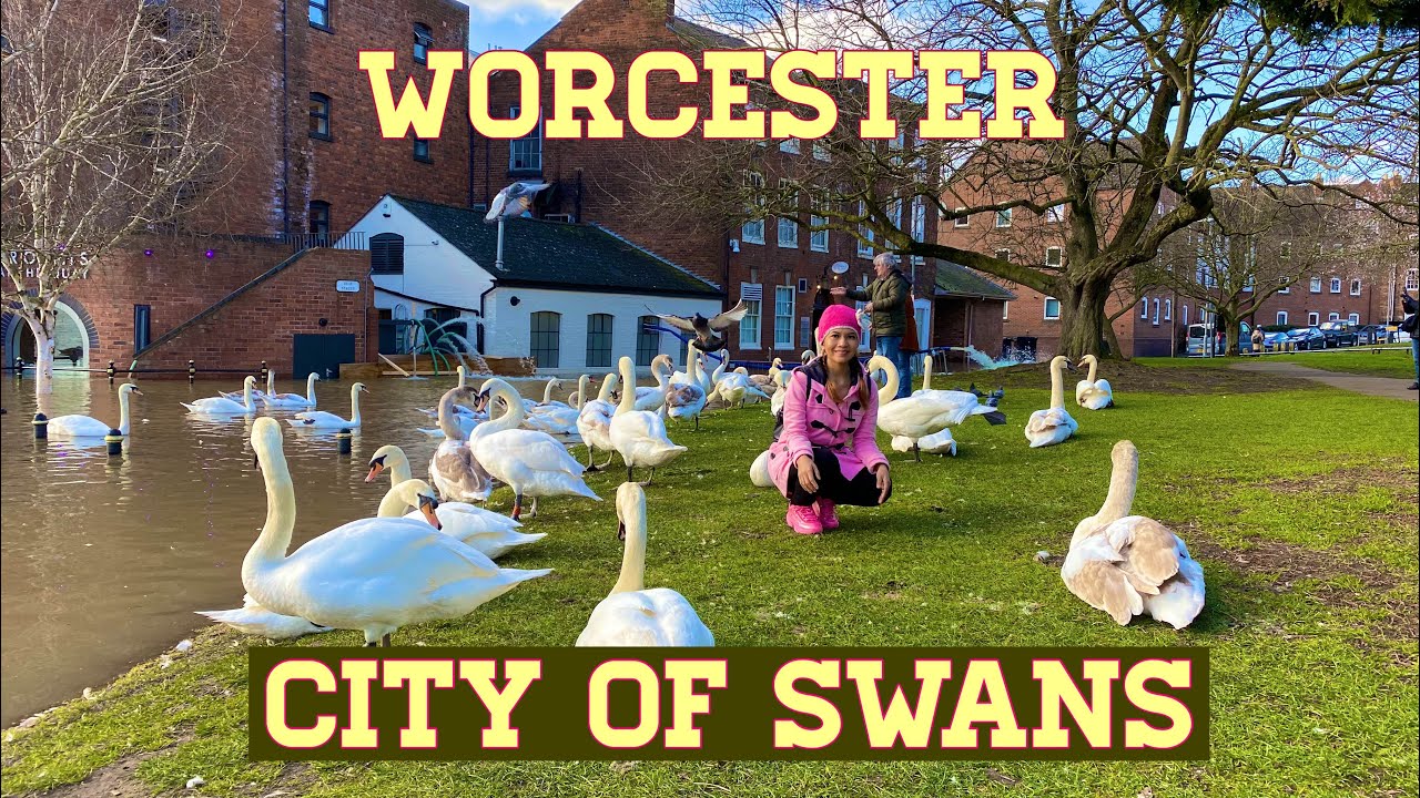 VISIT WORCESTER CITY OF SWANS| ENGLAND, UK| TRAVELERS| TRAVEL GOAL 2020
