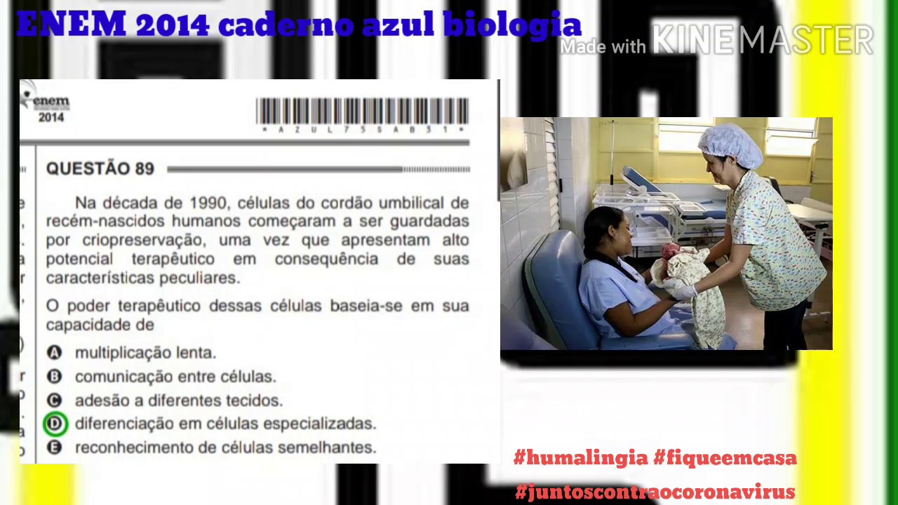 Questão 89 Enem 2014 caderno azul biologia