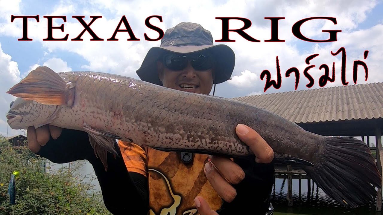 Это просто кошмар!! Измерять, пока удилище не отскочит? Используй Texas Rig, чтобы вытащить его. ...