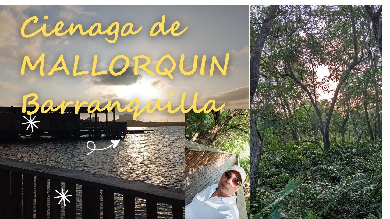 Cienaga de MALLORQUIN Barranquilla 🦩