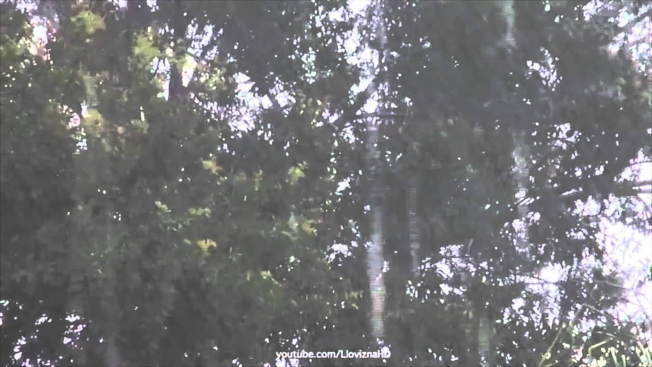 10 HORAS LLUVIA TORRENCIAL HD - CON FONDO DE LLUVIA Y TRUENOS
