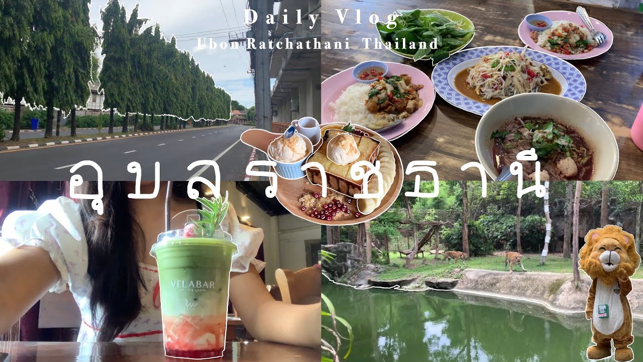 vlog| อุบลราชธานี 1 วัน✨สวนสัตว์อุบล, เวลาบาร์คาเฟ่, หมูกระทะ🥓