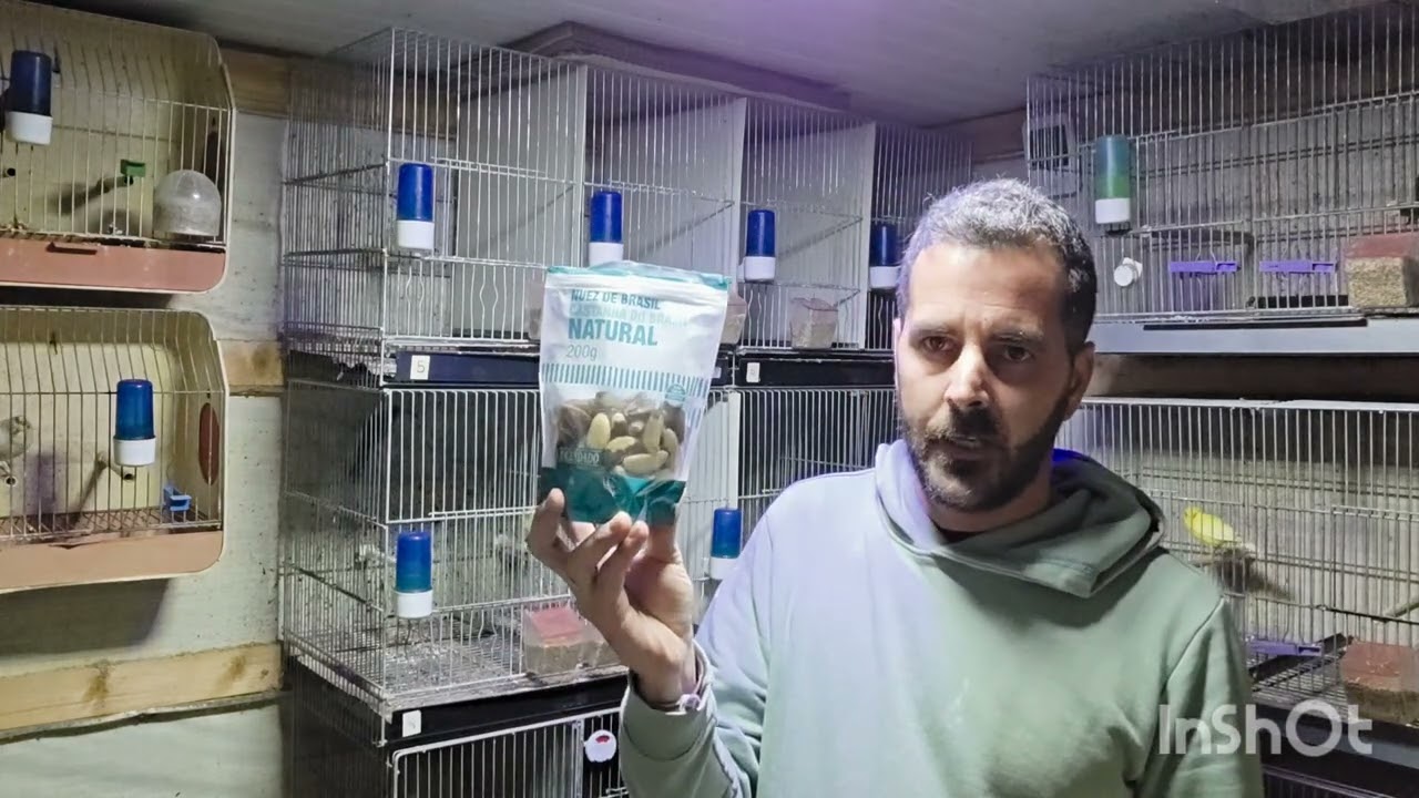 Hoy hablamos de la NUEZ DE BRASIL un encelante natural rico en vitamina E🐦🐦🕊🕊