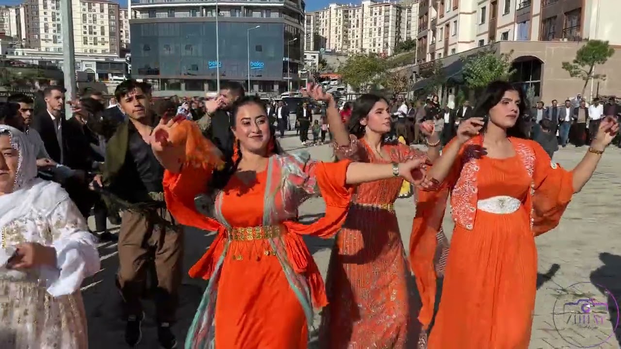 Diyar YÜRÜK Düğün ÖZEL (Molmeloyi Aşiretinin Görkemli Düğünü)